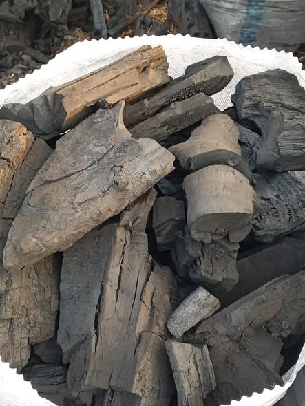 Mangal Kömürü - 2